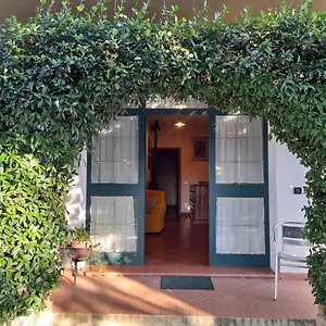  Appartamento 8380 Il Tiglio