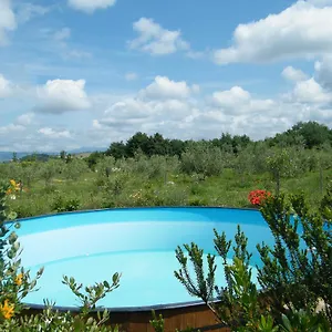 Sant' Antonio Manciano