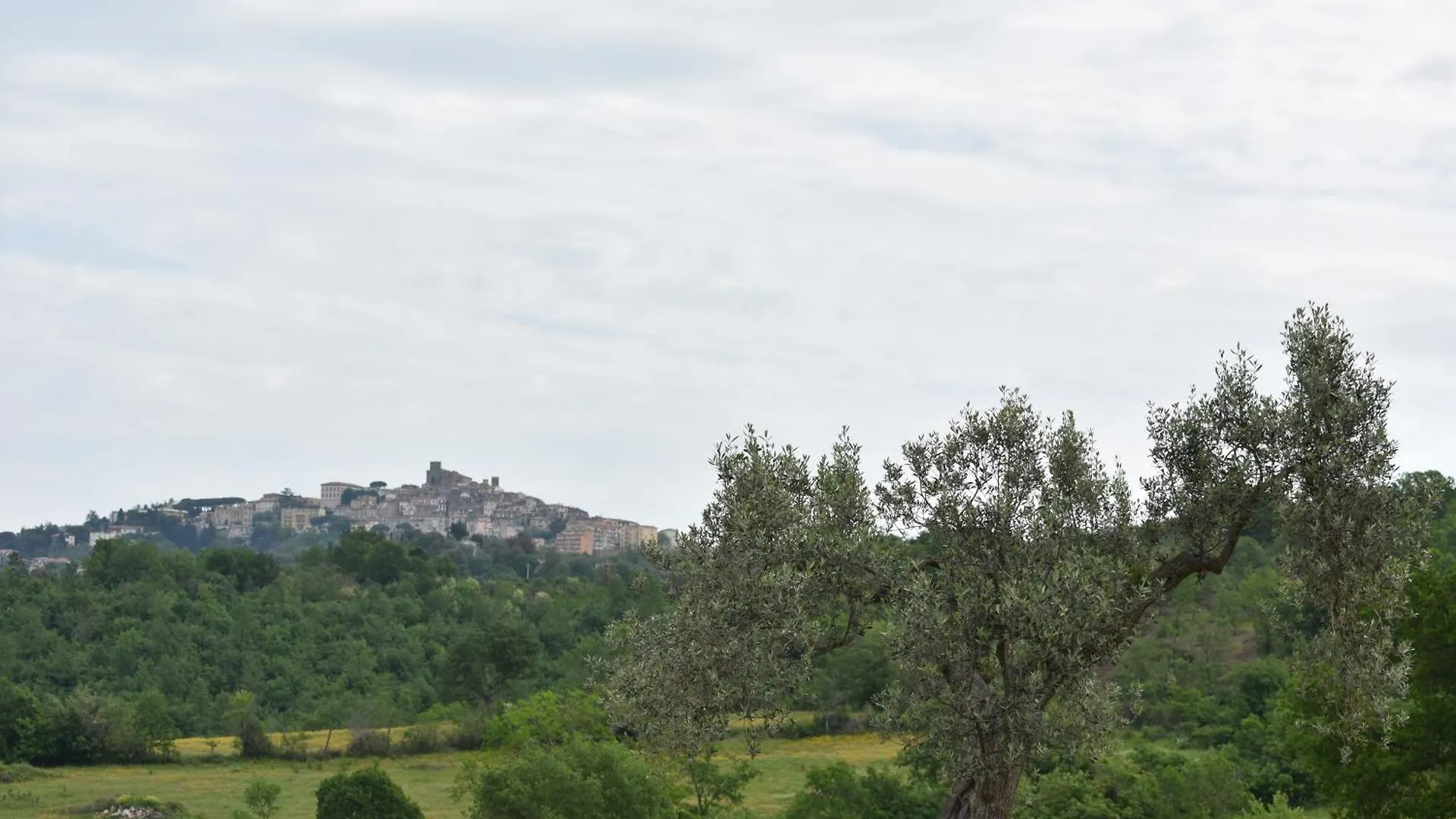Vulcinea In Poggio Rocco Lejlighed Manciano 0*,  Italien
